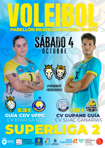 CARTEL PARTIDOS